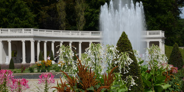 Lezing van Renske Ek conservator Tuinen van Paleis het Loo